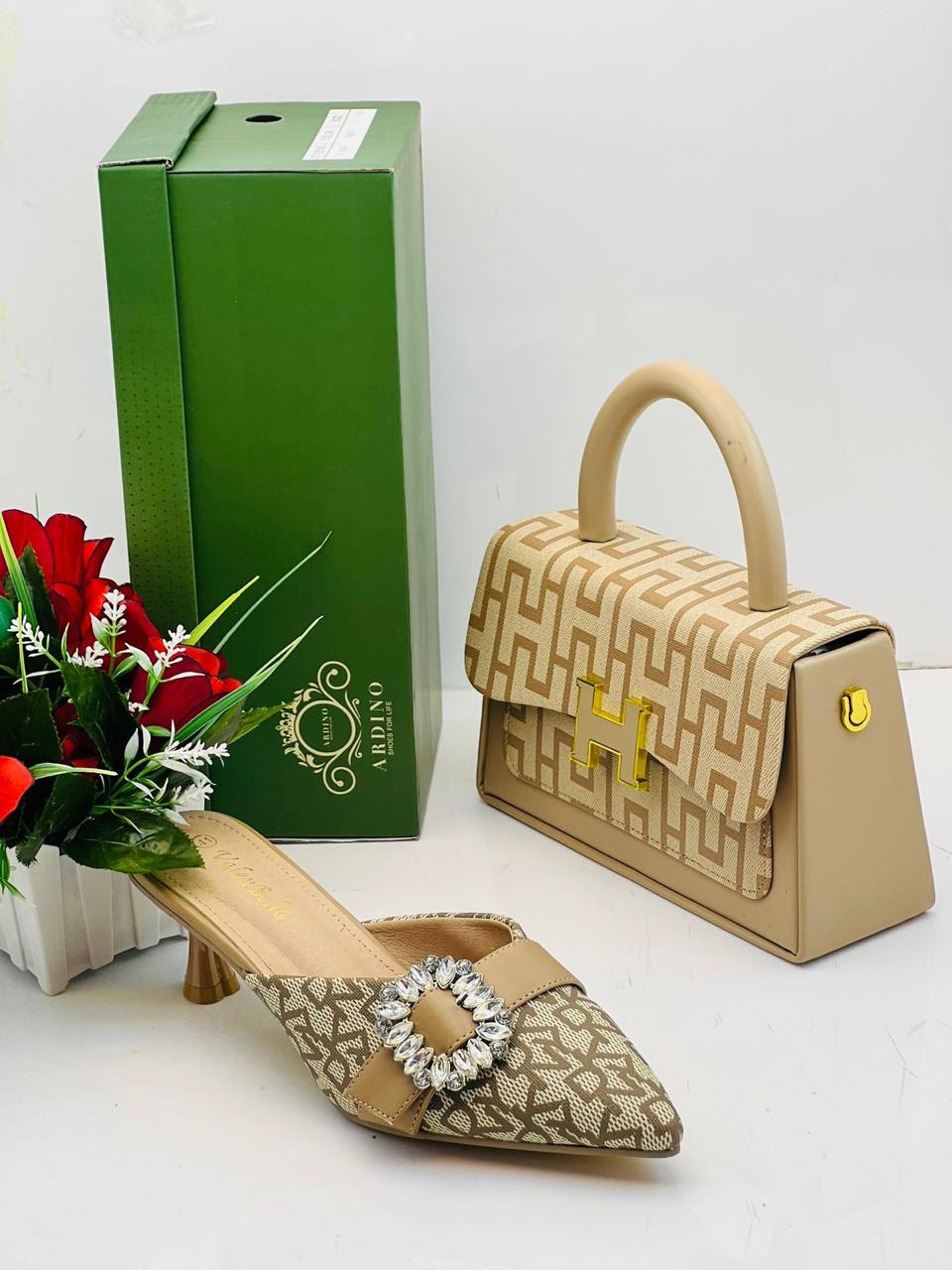 Shoes and Handbag Set