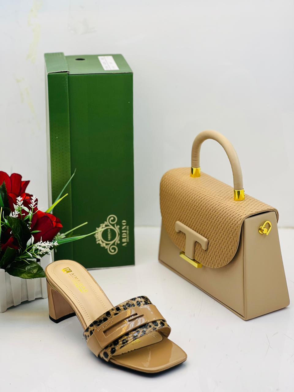 Shoes and Handbag Set