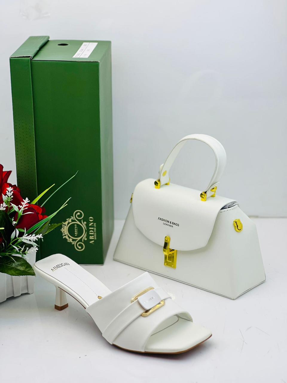 Shoes and Handbag Set