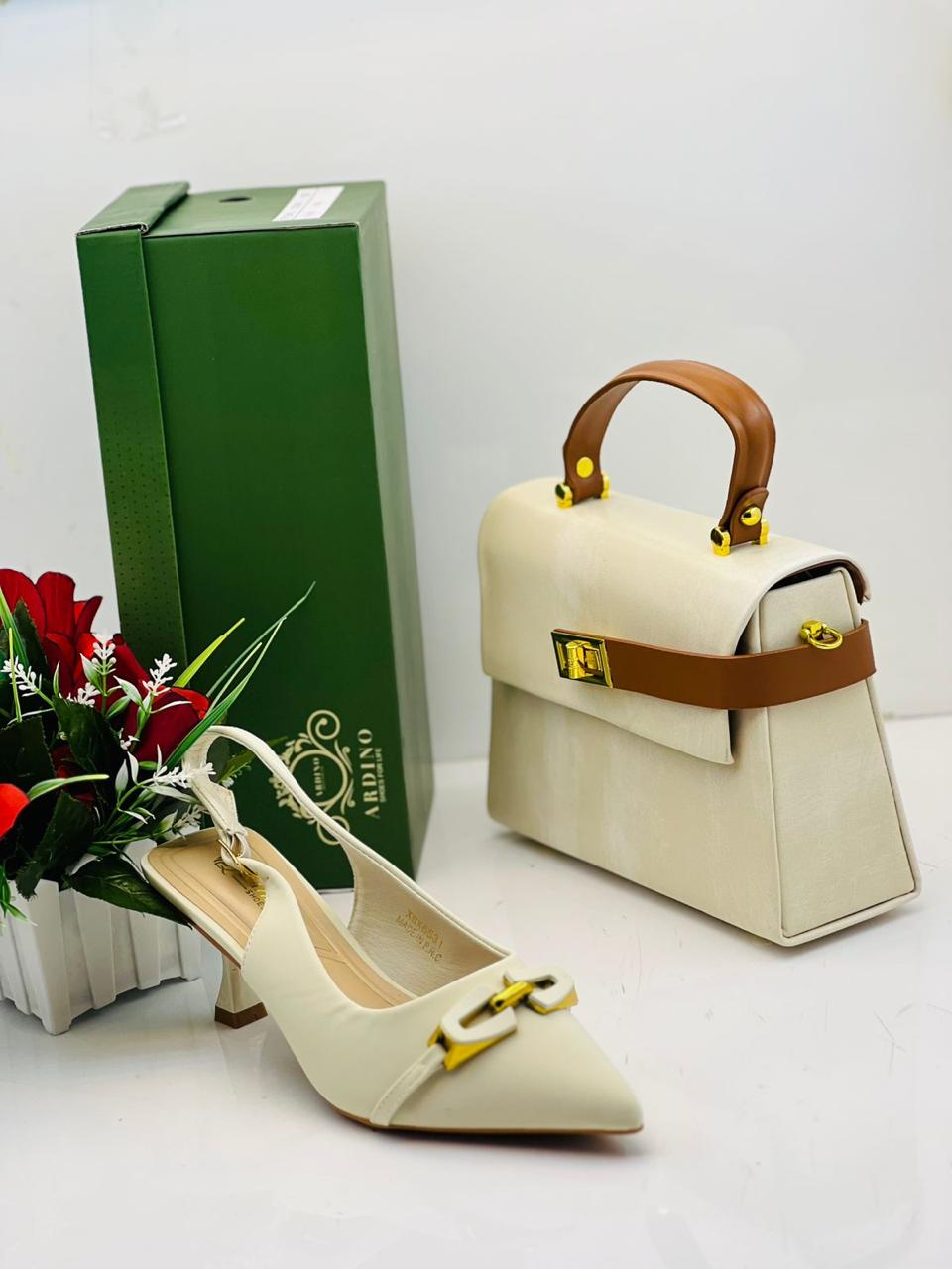 Shoes and Handbag Set