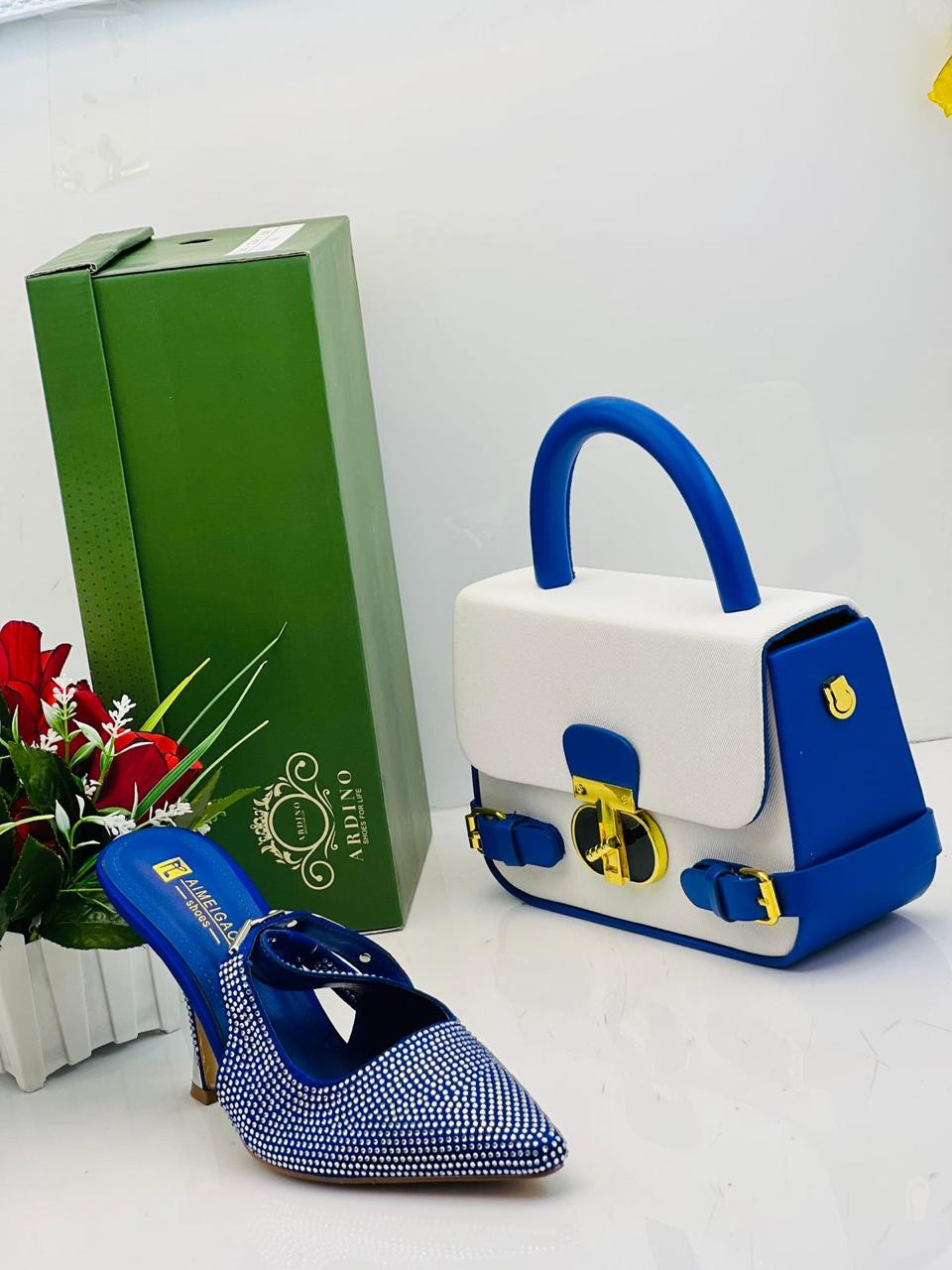 Shoes and Handbag set