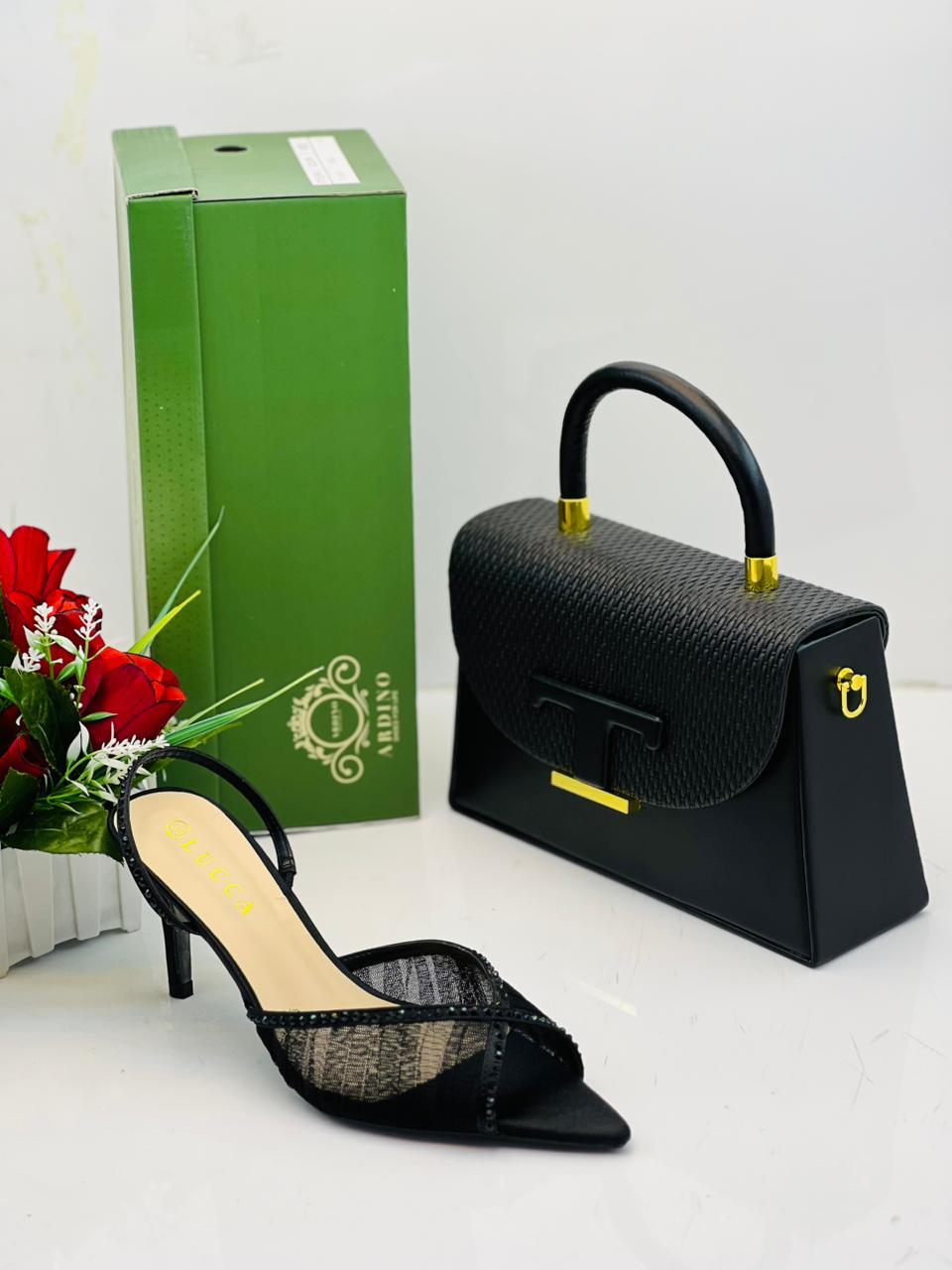 Shoes and Handbag Set