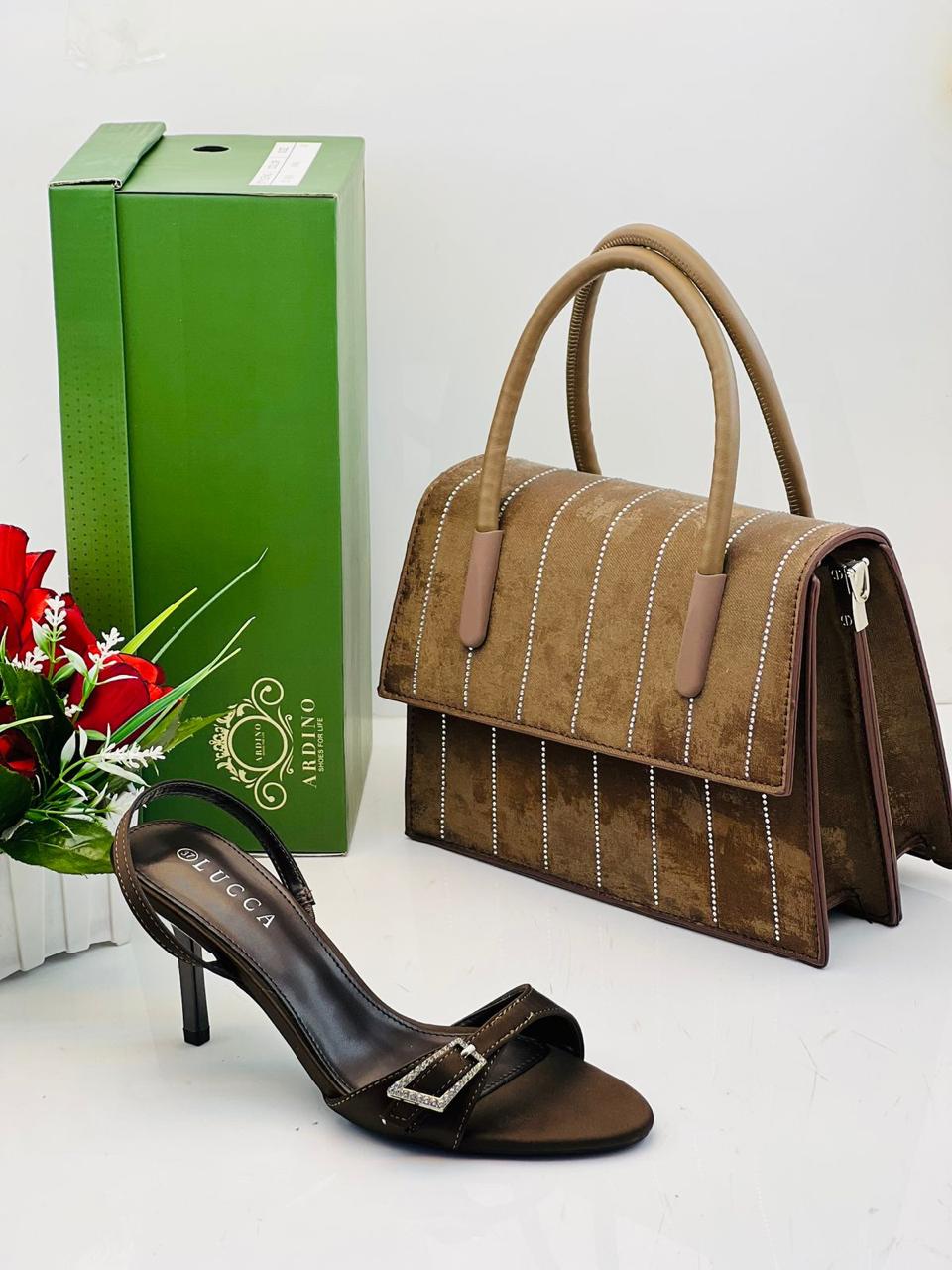 Shoes and Handbag Set