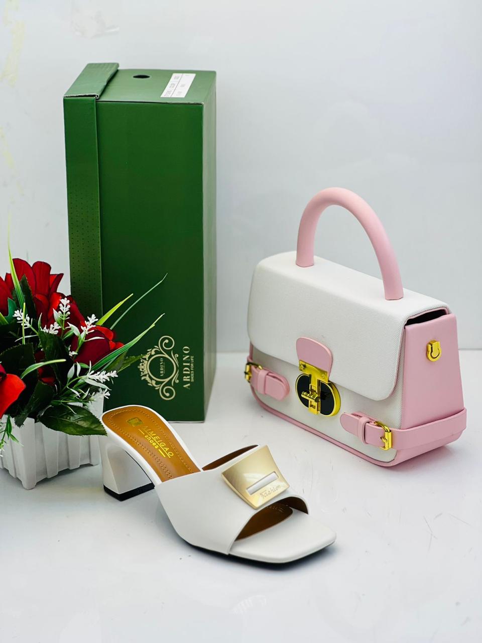 Shoes and Handbag Set