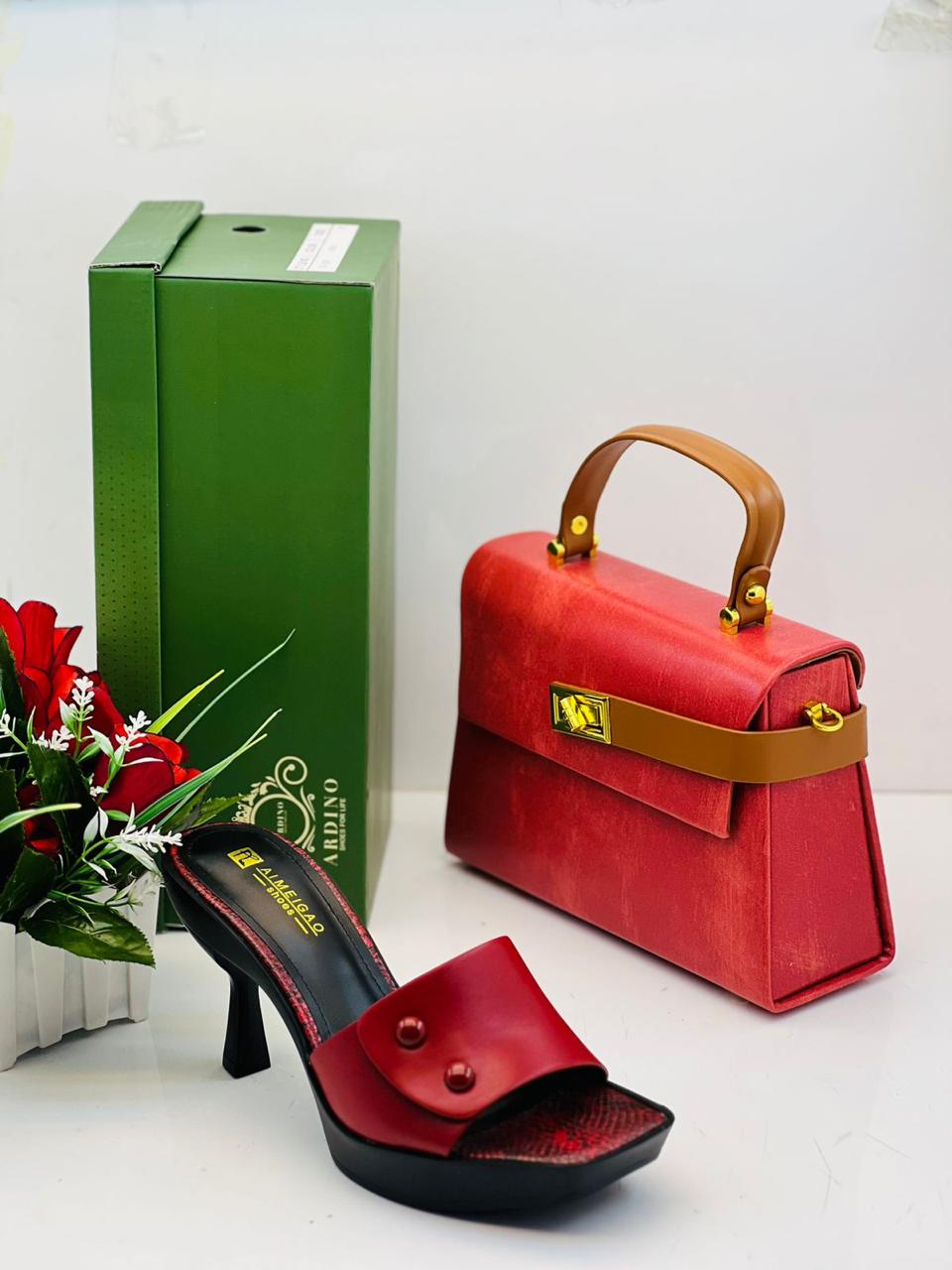 Shoes and Handbag Set