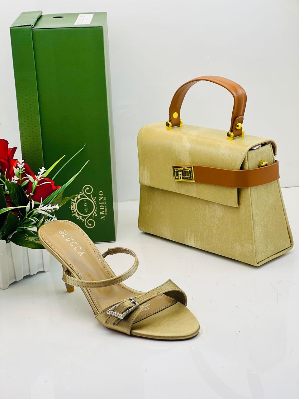 Shoes and Handbag Set
